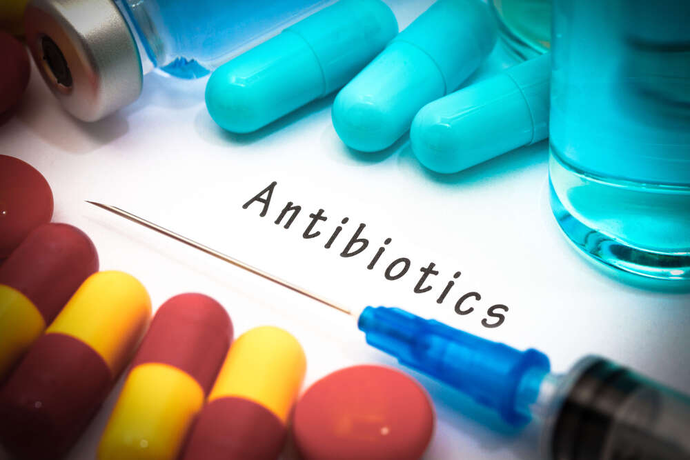 Ampicillin được chỉ định sử dụng để điều trị và phòng ngừa nhiễm trùng