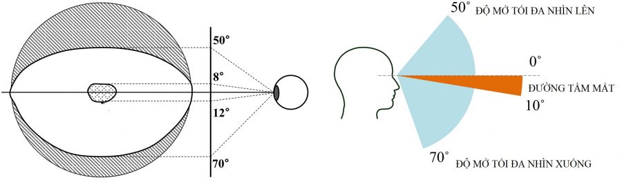 Tầm quan trọng của việc đo thị trường