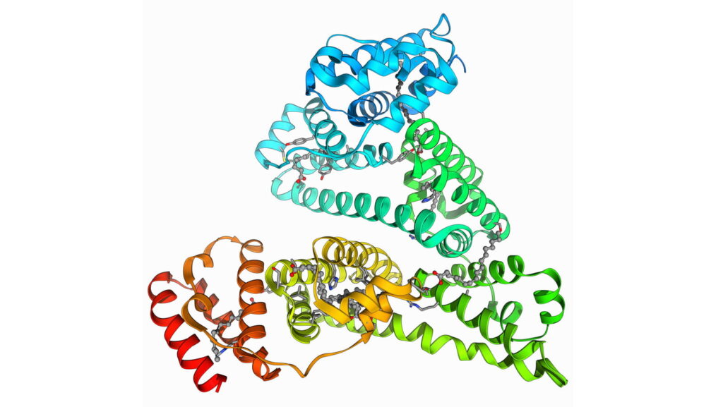 Albumin là gì? Những điều cần biết về thuốc Albumin
