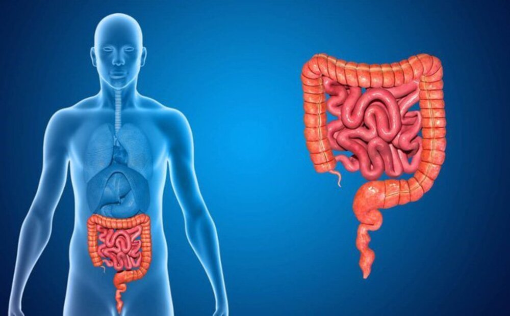 Bánh gạo giúp hỗ trợ hệ tiêu hóa