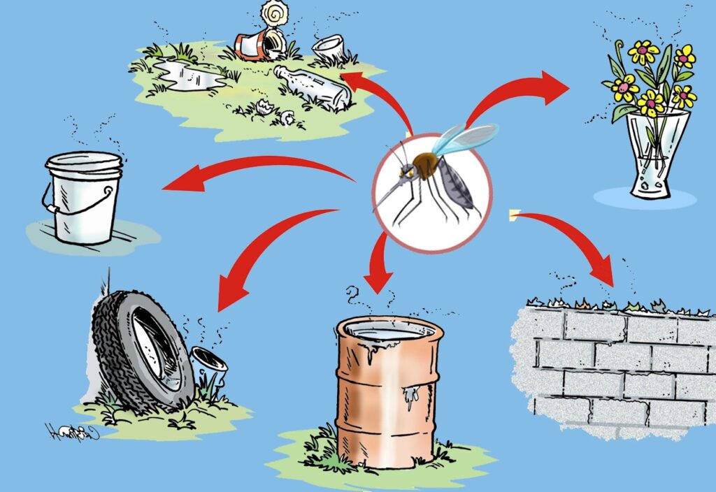 Hãy đảm bảo môi trường sống luôn sạch sẽ để phòng tránh căn bệnh sốt xuất huyết 