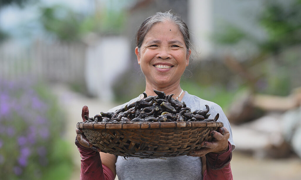 Cách sử dụng và liều dùng