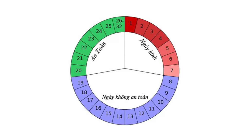 Cách tính ngày rụng trứng cho người kinh không đều