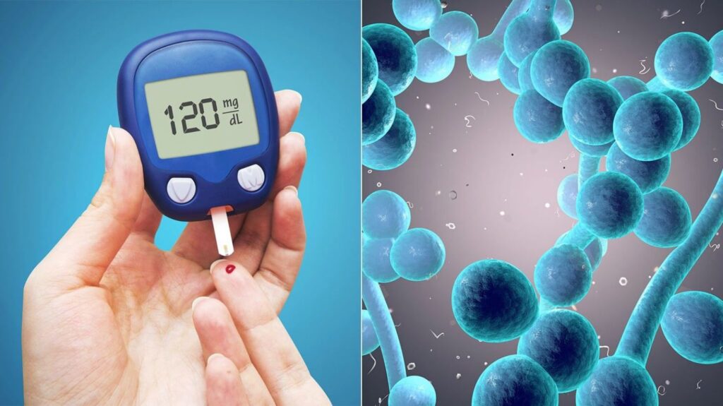 Nước ép cây địa lan vòi giúp trị bệnh đái tháo đường 
