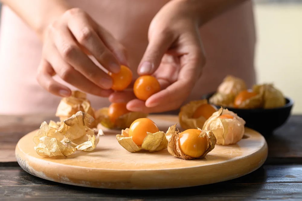 Một số bài thuốc chữa bệnh cảm mạo, cảm cúm, ho từ cây thù lù