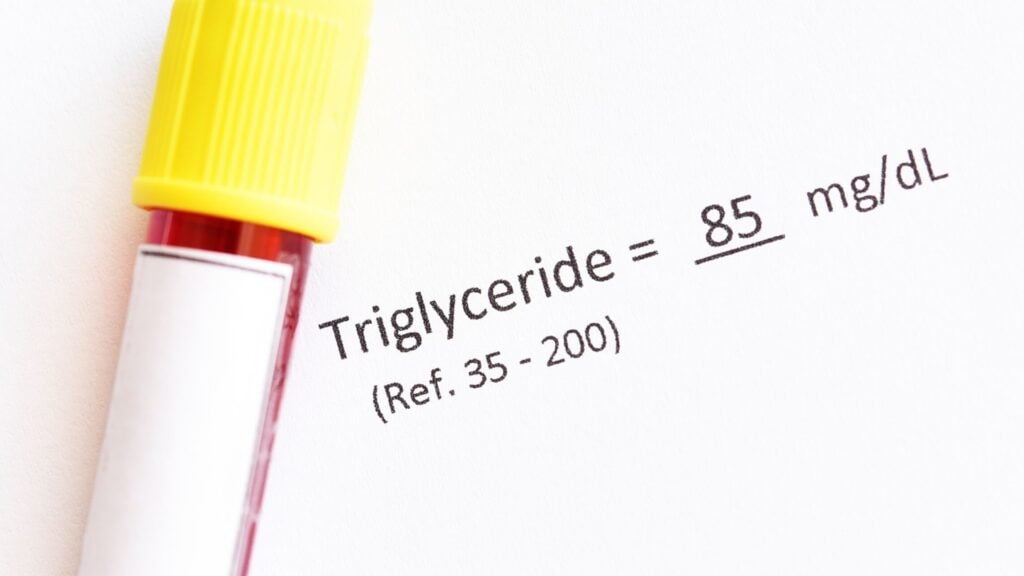 Triglyceride là gì? Nguyên nhân và cách kiểm soát tốt