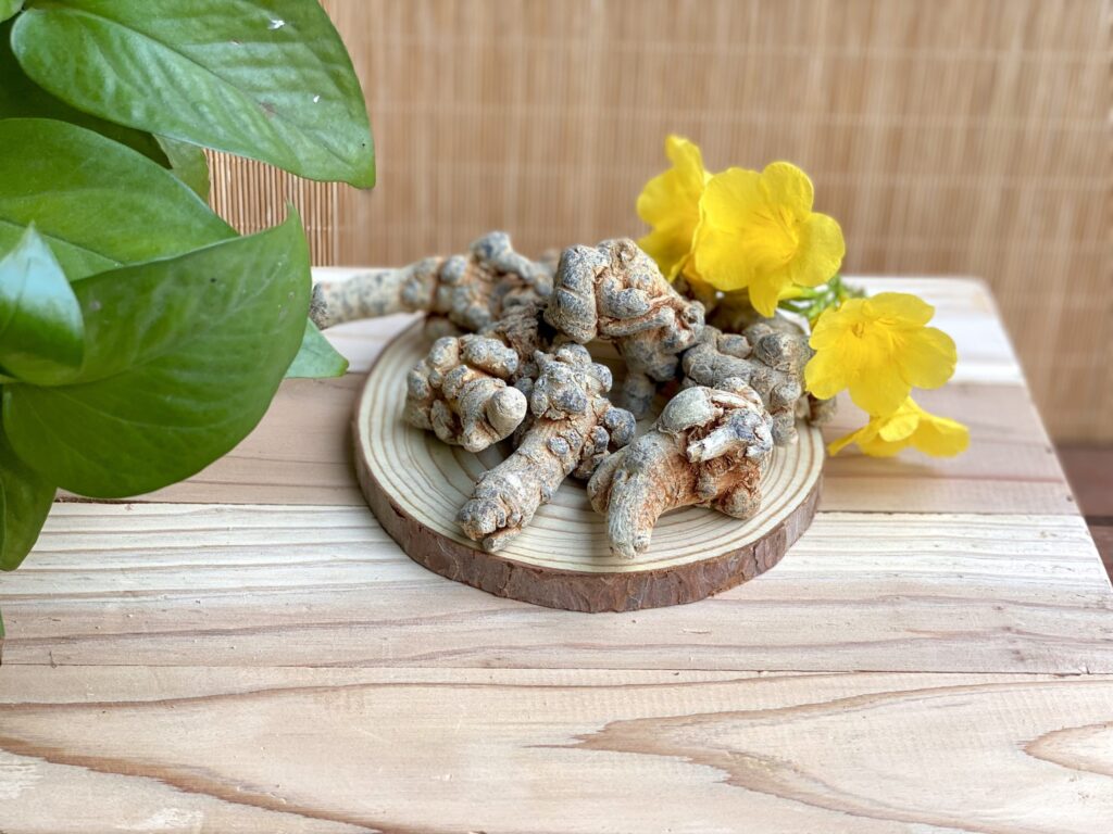Tam thất là gì? Tác dụng của củ tam thất với sức khoẻ