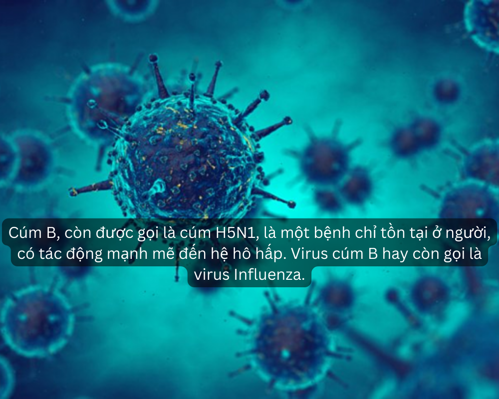 Virus cúm B: Chúng khác với cảm lạnh thông thường như thế nào?