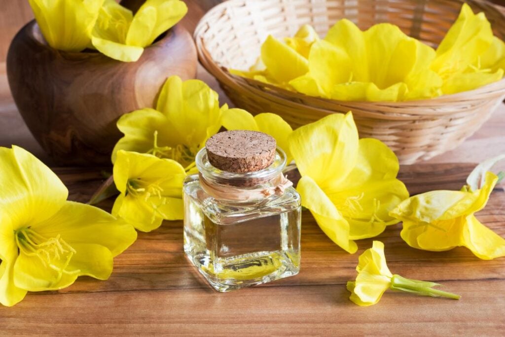 Dầu hoa anh thảo: Công dụng, cách dùng có thể bạn chưa biết