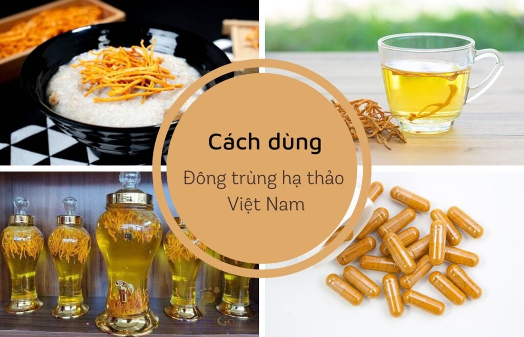 Đông trùng hạ thảo có thể dùng làm trà hoặc ngâm rượu 