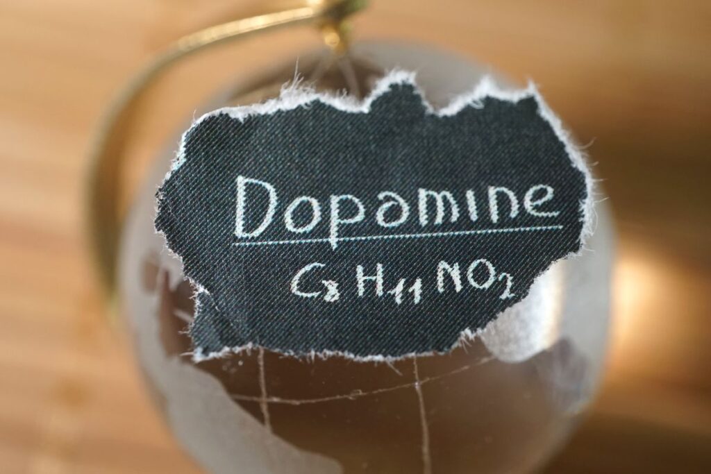 Dopamine là gì? Tác dụng, và một số lưu ý khi sử dụng
