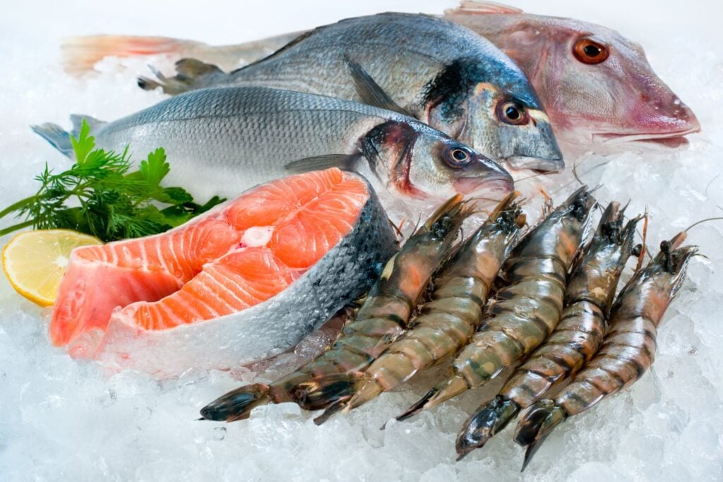 Hải sản chứa lượng protein phong phú