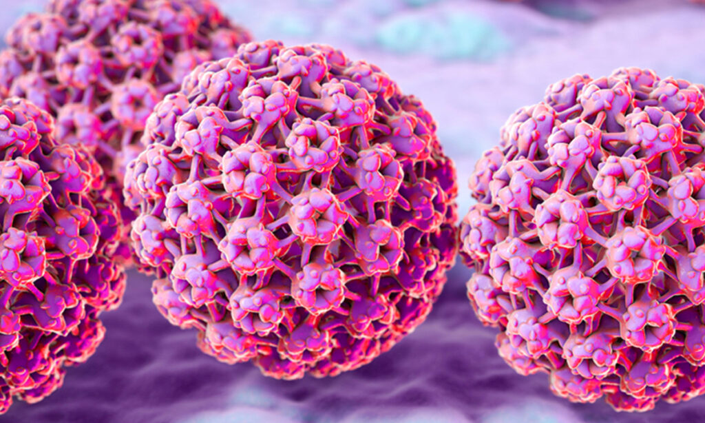 hpv là gì