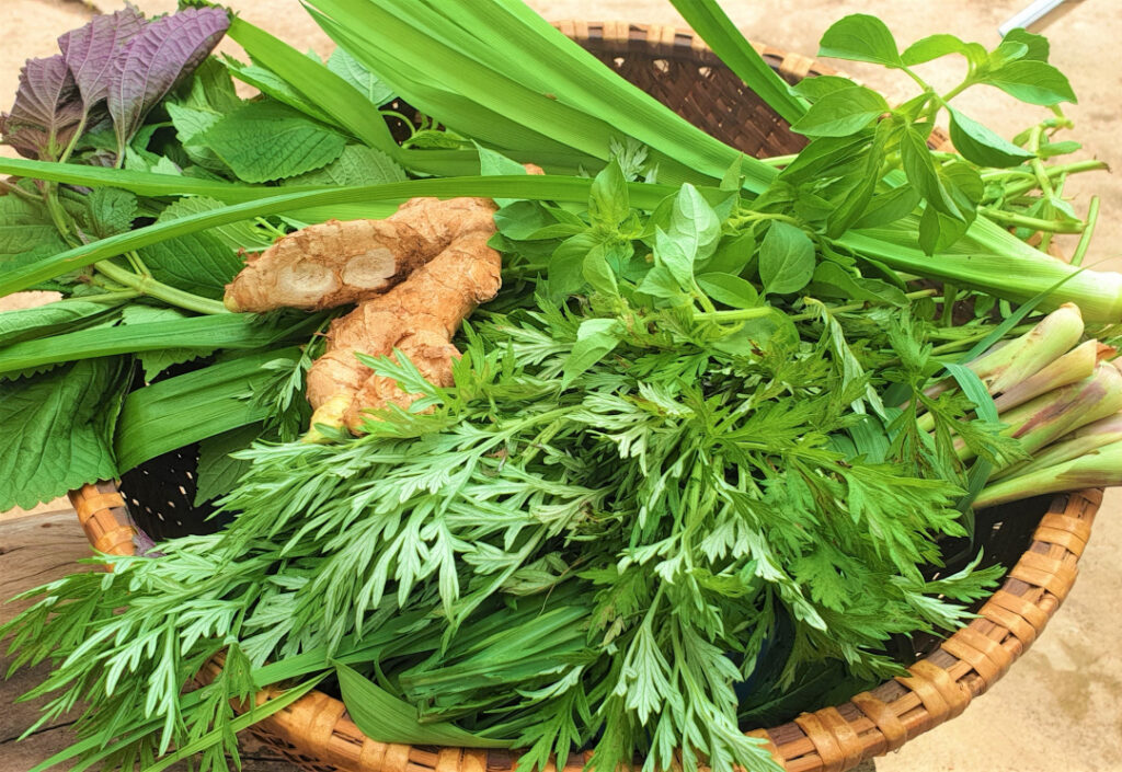 Không cho người bệnh xông lá 