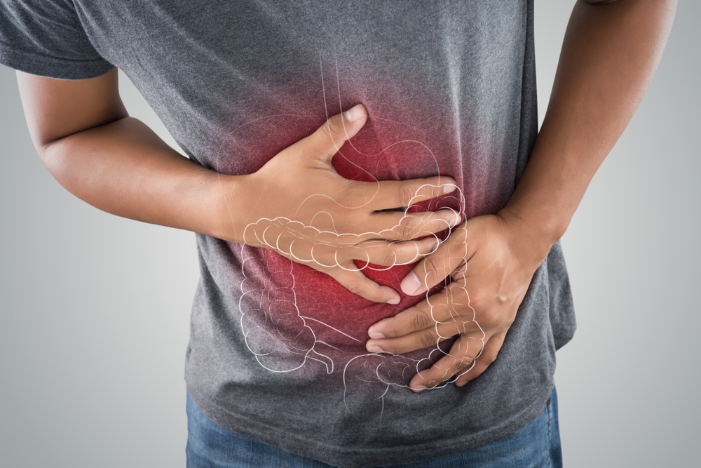 Rễ cây diếp hoang chứa prebiotic inulin giúp giải quyết các vấn đề về tiêu hóa 