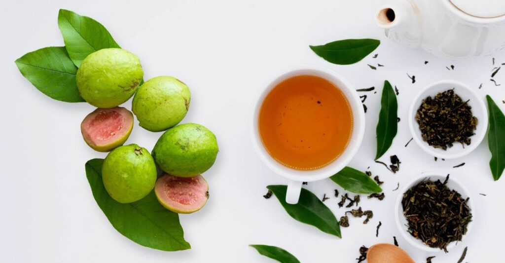 Nước lá ổi giúp ngăn ngừa dị ứng và tăng sức đề kháng