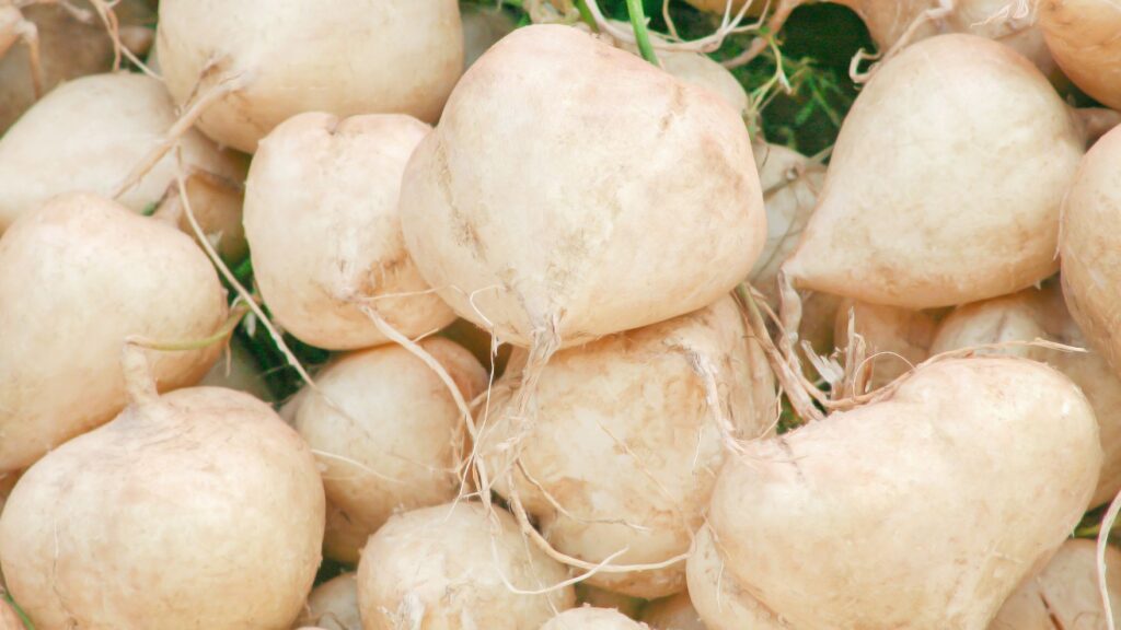Củ đậu bao nhiêu calo? Củ đậu có nhiều chất dinh dưỡng cần thiết cho sức khỏe