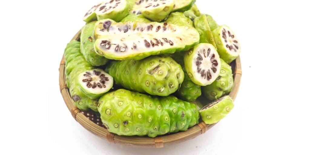 Lưu ý khi sử dụng trái nhàu trị tiểu đường