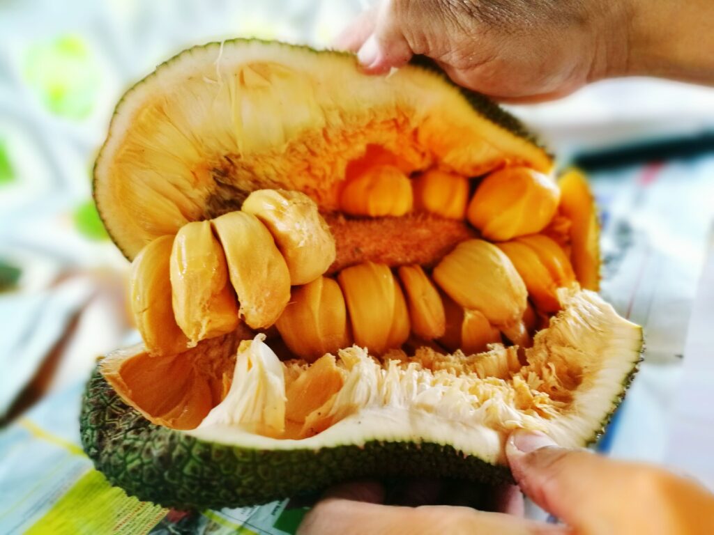 Mít giúp cơ thể ngăn ngừa các bệnh lý thiếu máu
