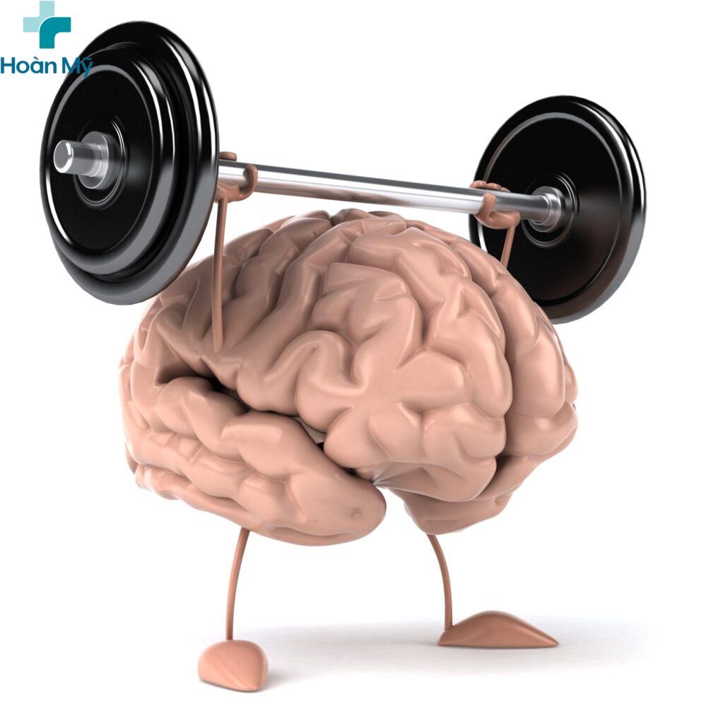 Nấm bào ngư có thể hỗ trợ cải thiện chức năng não bộ 