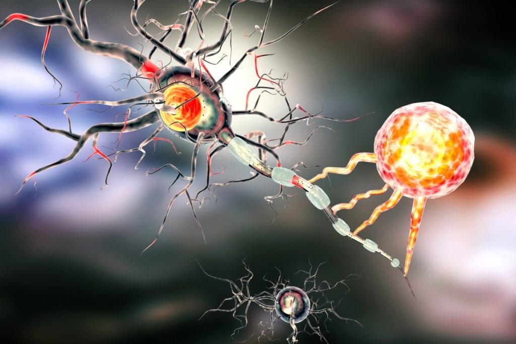 Tác dụng của hoa đu đủ đực là ngăn ngừa ung thư