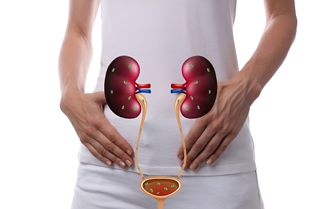 Nhiễm trùng đường tiểu: Nguyên nhân, triệu chứng và cách điều trị