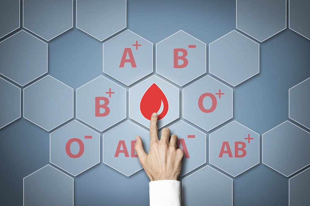 Nhóm máu O có tỷ lệ phân bổ khá cao