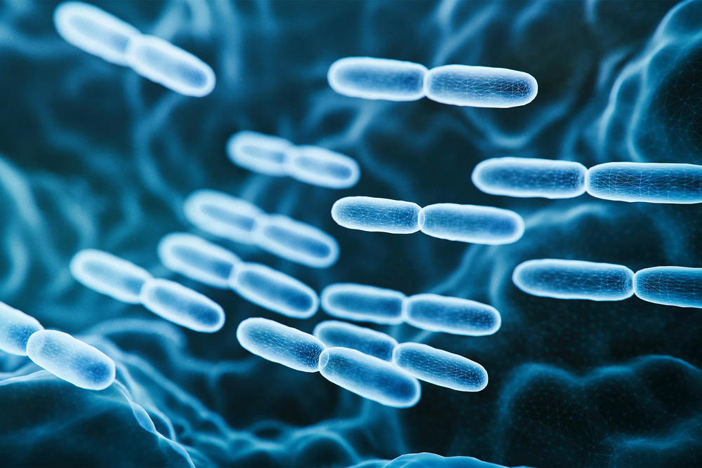 Probiotic là gì? 11 Lợi ích của probiotic cho sức khỏe đường ruột