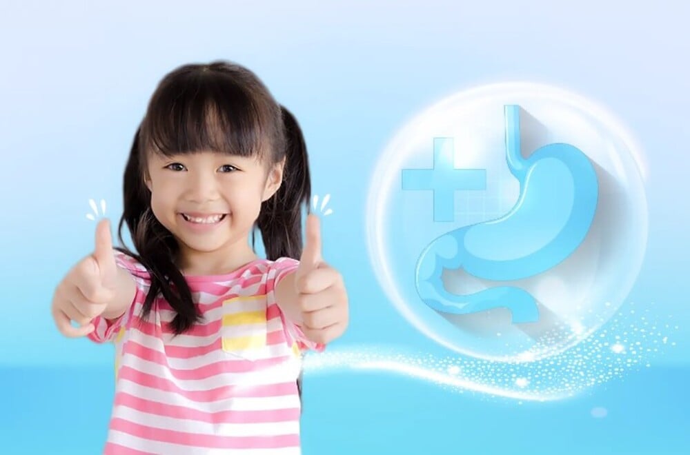 Giúp hệ tiêu hóa khỏe mạnh