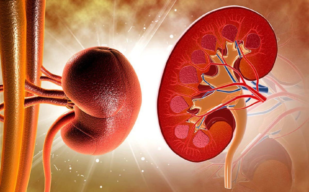 Suy thận là gì? Nguyên nhân, dấu hiệu nhận biết và cách điều trị