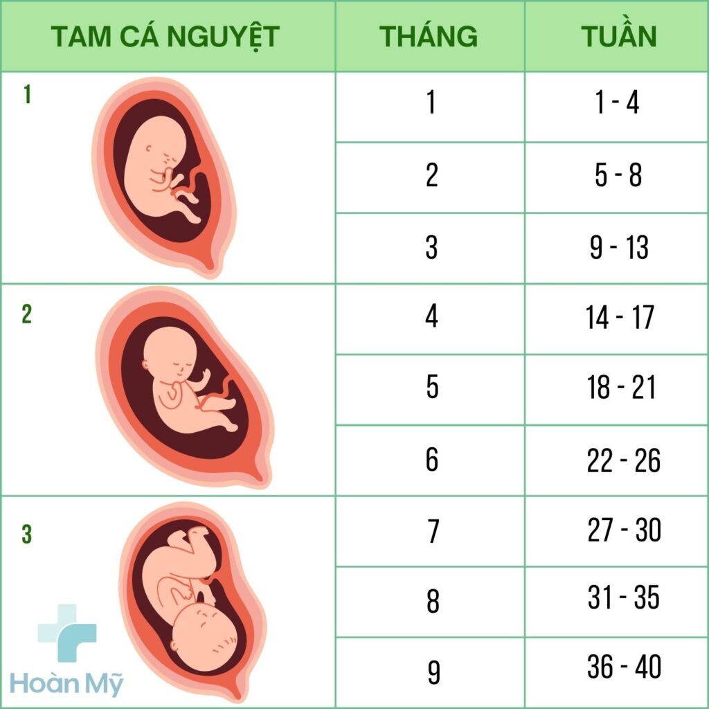 10 mốc khám thai quan trọng mẹ bầu cần nhớ xuyên suốt thai kỳ