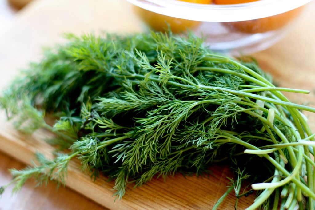 Đặc điểm, tác dụng của thì là đối với sức khỏe bạn cần biết