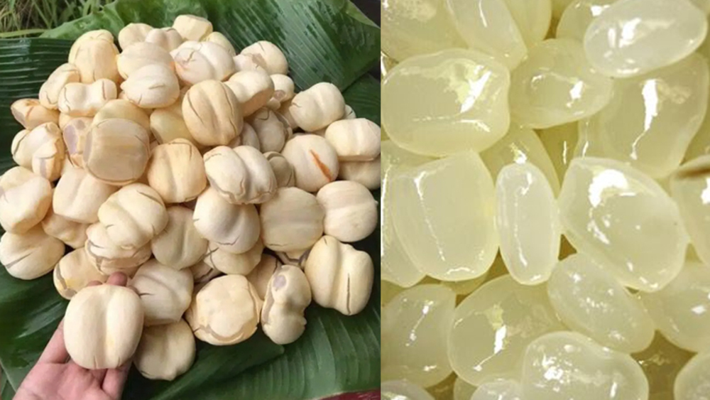 Bật mí những công dụng tuyệt vời của thốt nốt