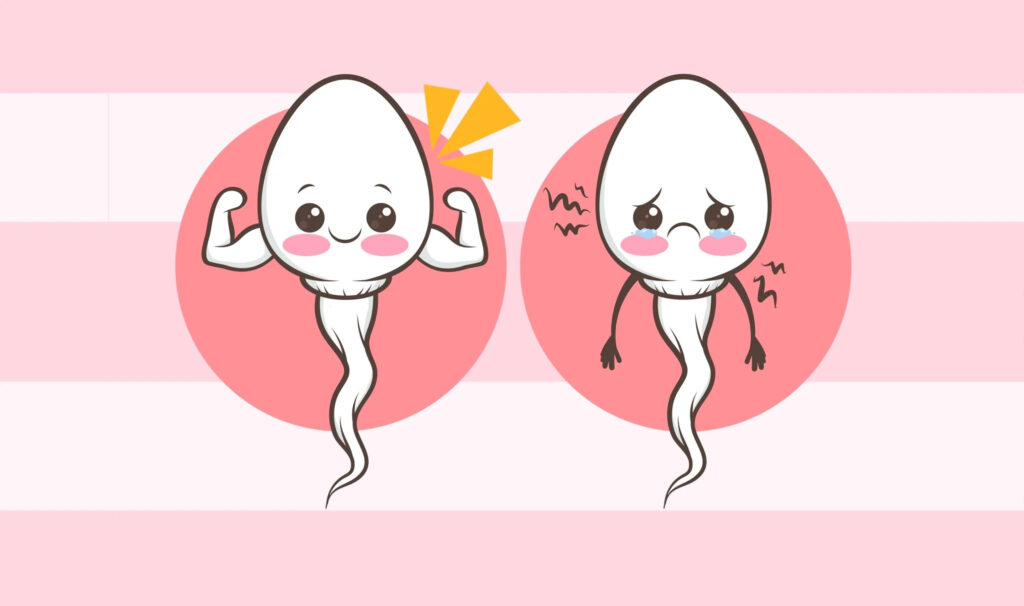 Thụ tinh nhân tạo là gì? Quy trình và chi phí thực hiện phương pháp