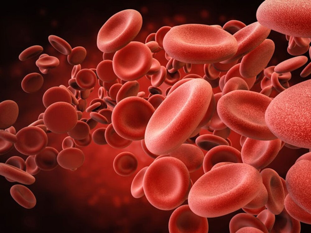Vai trò của vitamin B12 đối với cơ thể